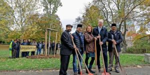 Ahmadiyya-Gemeinde-pflanzt-Baum-im-Maschpark_big_teaser_article